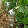 丝瓜水500毫升 商品缩略图0