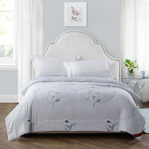 【氧气直购节】钱皇100%桑蚕丝被 夏凉被单人双人被子被芯 空调被薄被 商品图2