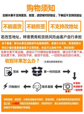 新疆特产坚果榛子300g/袋