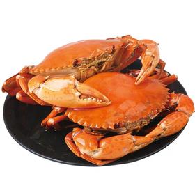三门青蟹净重3斤