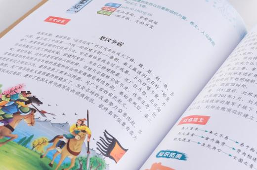 藏在古诗词里的成语（全4册）80首古诗词 曹文学推荐 zhu名儿童文学作品 商品图11