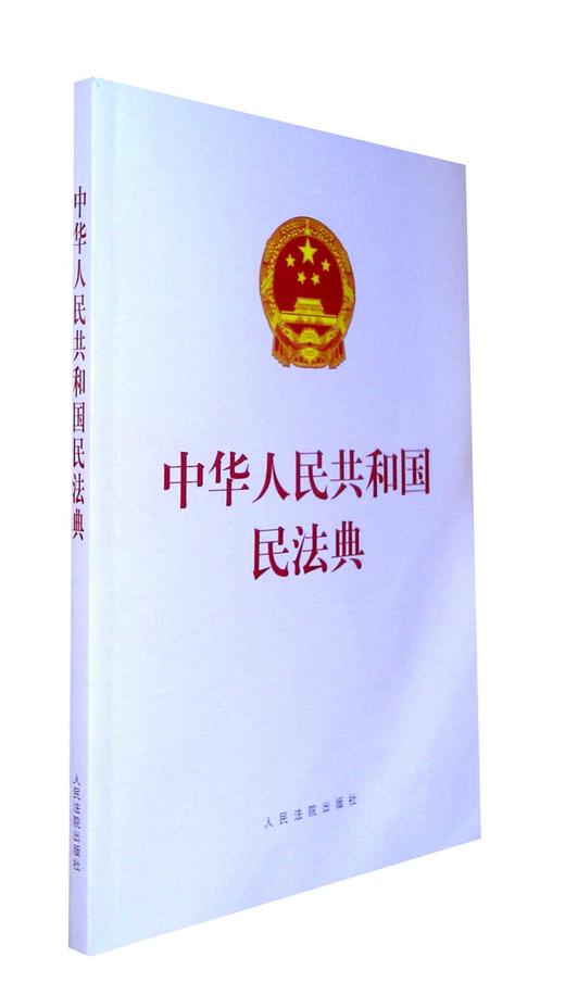 中华人民共和国民法典 商品图0
