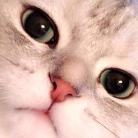  时间的味道，这么养更好喝 