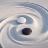 预见你的孩子 · 第三期 商品缩略图0