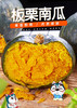 新西兰板栗南瓜2个 4斤左右（1501632） 商品缩略图0