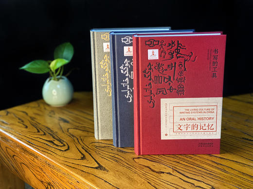 文字的记忆丛书—非遗中的文字书写与传播口述史 商品图0