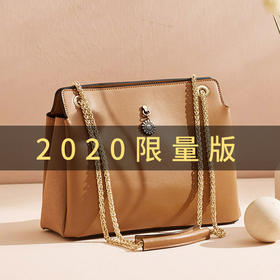 BX-BX619110302真皮2020新款复古国风链条单肩包大容量宫廷潮手提包