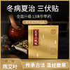 【百年品牌宝芝林 艾草三伏贴】买3送1 冬病夏治 三伏养生 一贴=13味中药材 一盒装(内含5片) 商品缩略图0