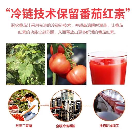  新疆冠农番倍爽番茄汁 310ml*6瓶 商品图4