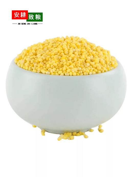 安耕致粮·有机大黄米400g 商品图1