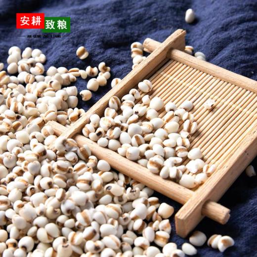 安耕致粮·有机薏米仁400g 商品图1