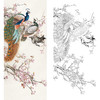 陈军竖幅工笔花鸟白描底稿-孔雀-多种白描尺寸可选 CJ49 商品缩略图0