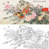 陈军横幅工笔花鸟白描底稿-锦鸡花鸡图-多种白描尺寸可选 CJ43 商品缩略图0