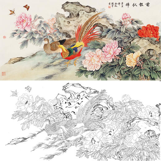 陈军横幅工笔花鸟白描底稿-锦鸡花鸡图-多种白描尺寸可选 CJ43 商品图0