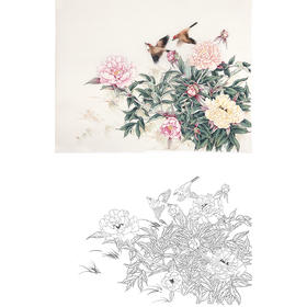陈军工笔花鸟白描底稿-斗方小品册页-多种白描尺寸可选 CJ53
