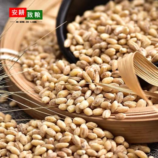 安耕致粮·大麦米400g 商品图1
