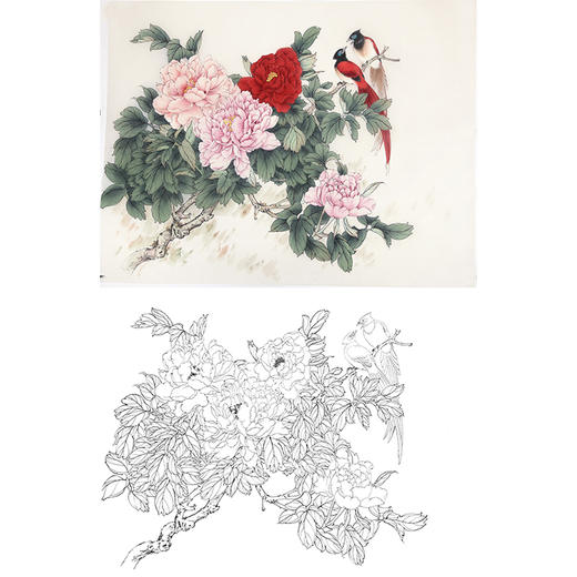 陈军工笔花鸟白描底稿-牡丹-斗方小品册页-多种白描尺寸可选 CJ55 商品图0