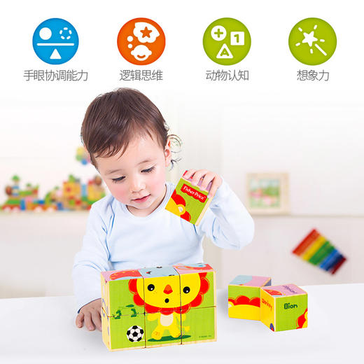 费雪Fisher-Price9粒六面画木质制积木拼装玩具大颗粒拼图幼儿童益智玩具早教礼物 FP1018 九粒六面画新款 商品图1
