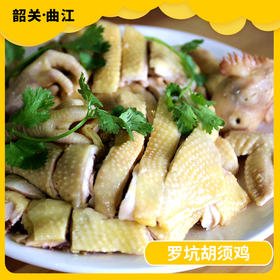 韶关美食-曲江罗坑胡须鸡