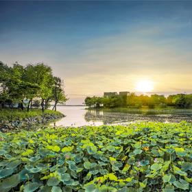 水中天夏日清心之旅