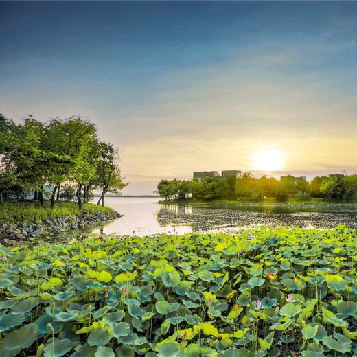 水中天夏日清心之旅 商品图0