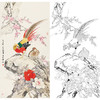 陈军竖幅工笔花鸟白描底稿-锦鸡花鸡图-多种白描尺寸可选 CJ47 商品缩略图0