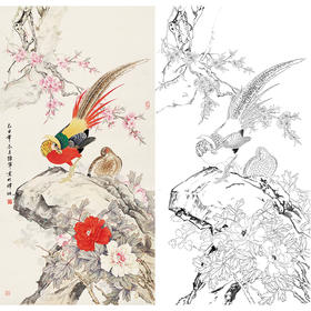 陈军竖幅工笔花鸟白描底稿-锦鸡花鸡图-多种白描尺寸可选 CJ47