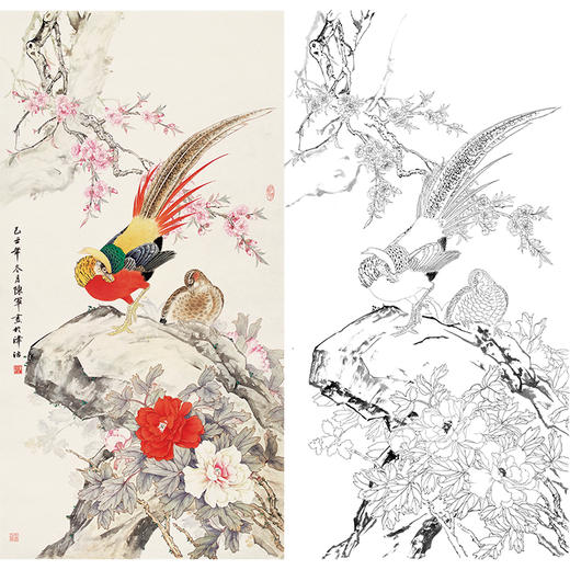 陈军竖幅工笔花鸟白描底稿-锦鸡花鸡图-多种白描尺寸可选 CJ47 商品图0