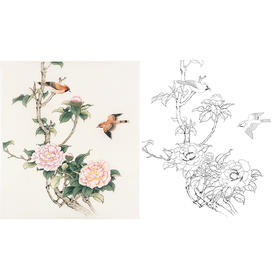 陈军工笔花鸟白描底稿-山茶花鸟图-斗方小品册页-多种白描尺寸可选 CJ58