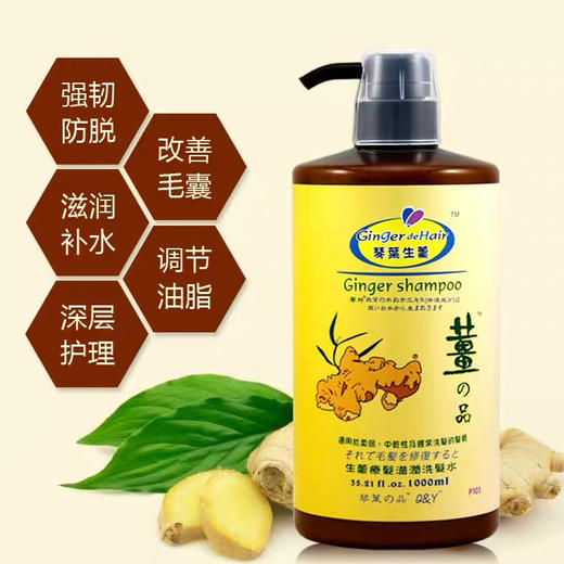 琴叶生姜洗发水1000ml 商品图4