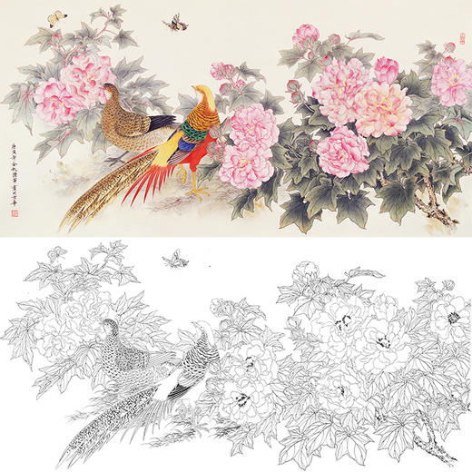 陈军横幅工笔花鸟白描底稿-锦鸡花鸡图-多种白描尺寸可选 CJ45 商品图0