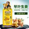 琴叶生姜洗发水1000ml 商品缩略图1