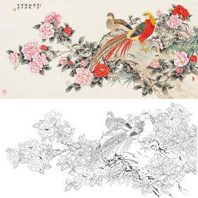 陈军横幅工笔花鸟白描底稿-锦鸡花鸡图-多种白描尺寸可选 CJ44