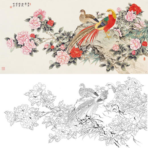 陈军横幅工笔花鸟白描底稿-锦鸡花鸡图-多种白描尺寸可选 CJ44 商品图0
