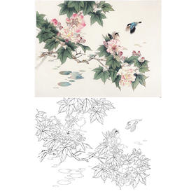 陈军工笔花鸟白描底稿-芙蓉花-斗方小品册页-多种白描尺寸可选 CJ52