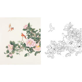 陈军工笔花鸟白描底稿-山茶花鸟图-斗方小品册页-多种白描尺寸可选 CJ57