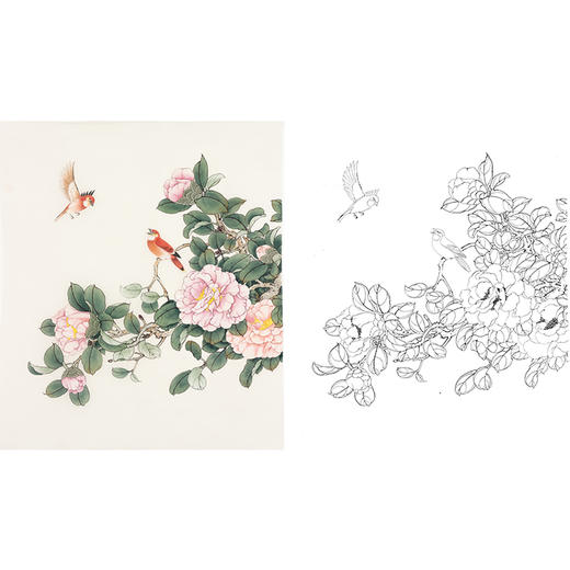 陈军工笔花鸟白描底稿-山茶花鸟图-斗方小品册页-多种白描尺寸可选 CJ57 商品图0