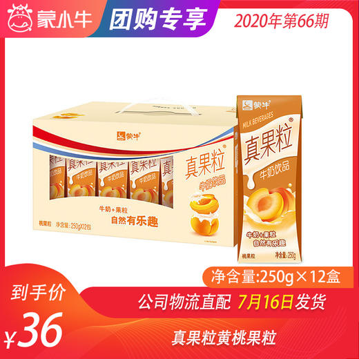 真果粒黄桃果粒250g×12盒 商品图0