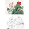 陈军工笔花鸟白描底稿-荷花-斗方小品册页-多种白描尺寸可选 CJ54 商品缩略图0