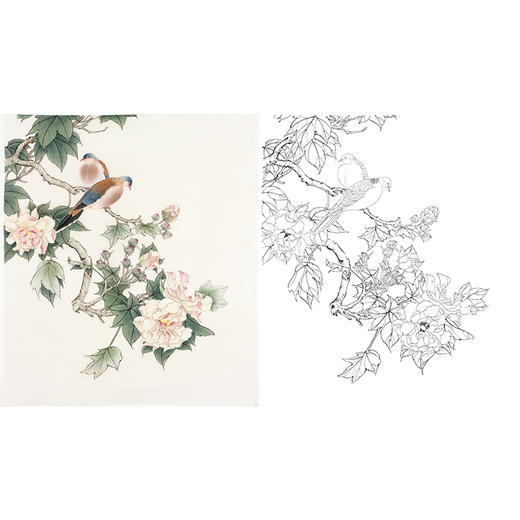 陈军工笔花鸟白描底稿-芙蓉花-斗方小品册页-多种白描尺寸可选 CJ51 商品图0