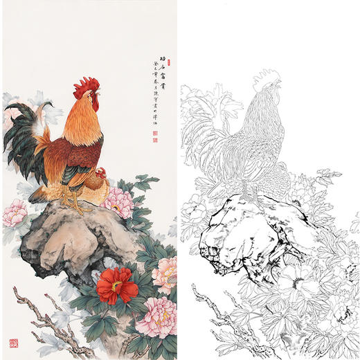 陈军竖幅工笔花鸟白描底稿《功名富贵》雄鸡公鸡花鸡图多种白描尺寸可选 CJ50 商品图0