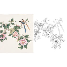 陈军工笔花鸟白描底稿山茶花鸟图-斗方小品册页-多种白描尺寸可选 CJ56