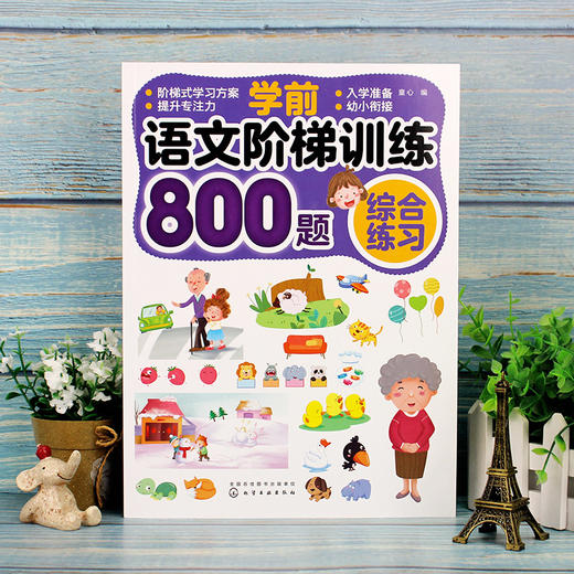 学前语文阶梯训练800题 综合练习 童心 早教启蒙学前语文数学思维训练拼音拼读训练学习教材幼升小儿童识字书幼儿认字学前班练习册 商品图4