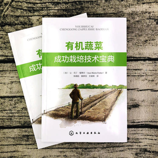 有机蔬菜成功栽培技术宝典 绿色无公害蔬菜种植技术 大棚蔬菜高效栽培书籍 有机蔬菜生产场地选择园区规划有机肥施用病虫害防控书 商品图3