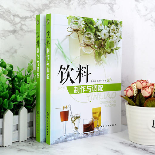 饮料制作与调配 饮料品种设计色彩配制口味改善香味调制营养组合装饰造型方法技巧 茶饮果汁咖啡乳饮冰鲜饮料奶茶配方制作大全书籍 商品图3