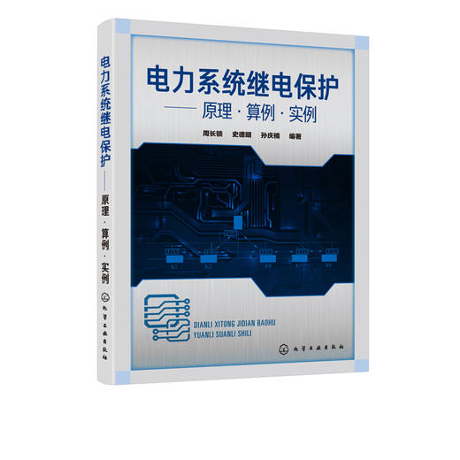 电力系统继电保护 原理 算例 实例 周长锁 继电保护整定计算工作流程方法教程书 高压馈线变压器电动机低压回路计算实例 商品图5