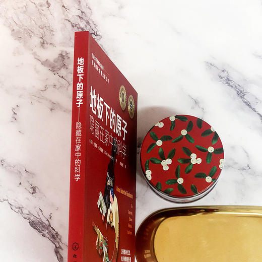 地板下的原子：隐藏在家中的科学 中小学生青少年自然科学启蒙科普书籍 商品图2