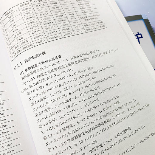 电力系统继电保护 原理 算例 实例 周长锁 继电保护整定计算工作流程方法教程书 高压馈线变压器电动机低压回路计算实例 商品图3