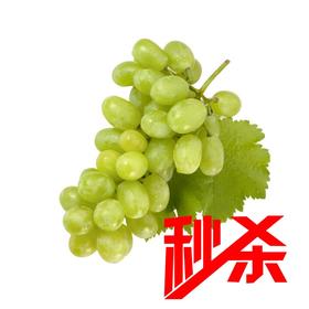 秒杀 牛奶青提500g/份