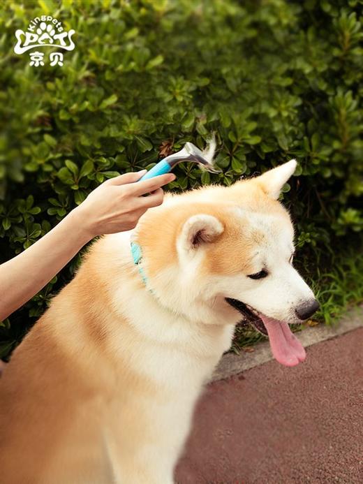 Kingpets 宠物专用祛毛刷 商品图2